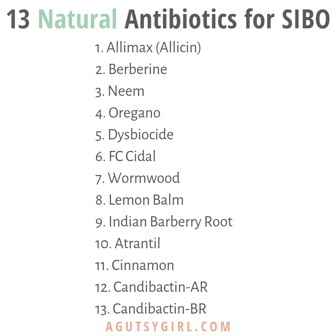 13 Natural Antibiotics for SIBO #sibo #guthealth #ibs agutsygirl.com