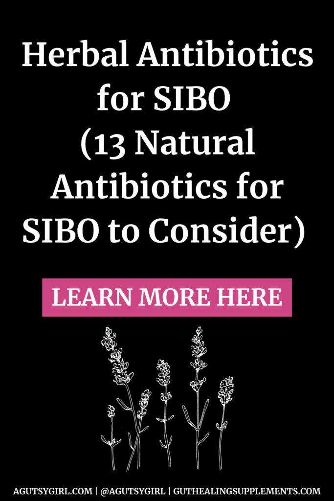 Herbal Antibiotics for SIBO (13 Natural Antibiotics for SIBO to Consider)
