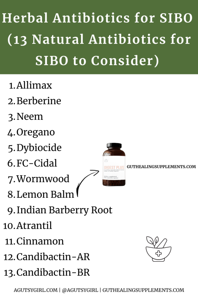 Herbal Antibiotics for SIBO (13 Natural Antibiotics for SIBO to Consider) agutsygirl.com #sibo #herb