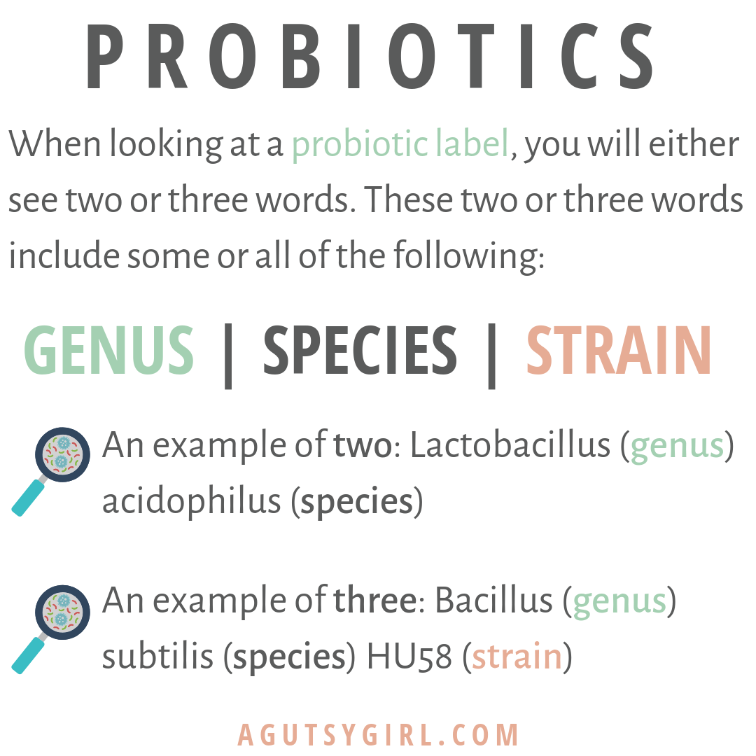 All About Probiotic Strains and Species agutsygirl.com #probiotic #guthealth #probiotics #SIBO genus species strain