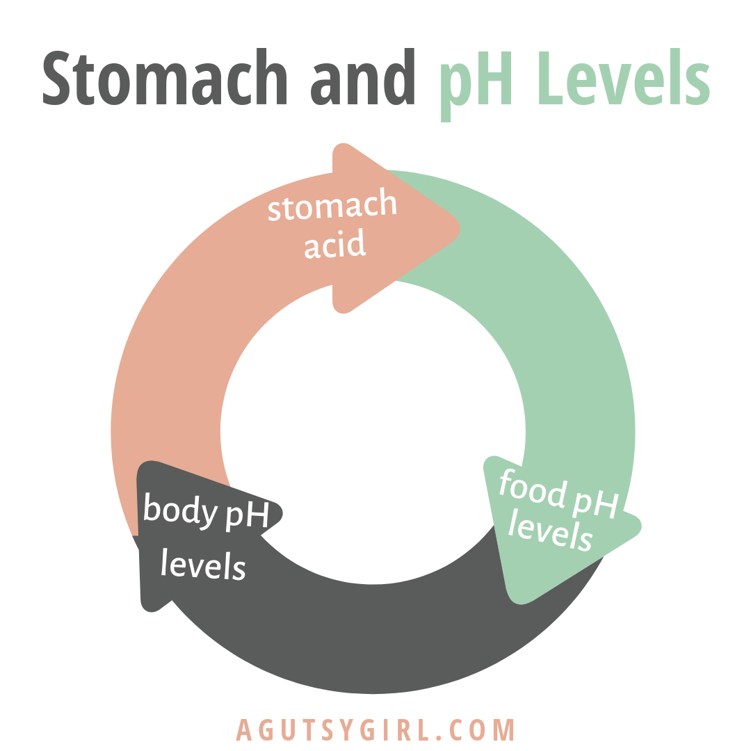 Stomach Acid and pH Levels agutsygirl.com #ph #foodph #stomachacid #guthealth