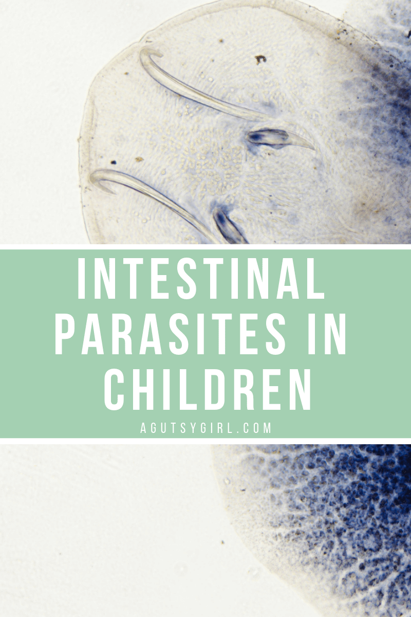 Intestinal Parasites in Children agutsygirl.com #parasites #guthealth #children #healthyliving