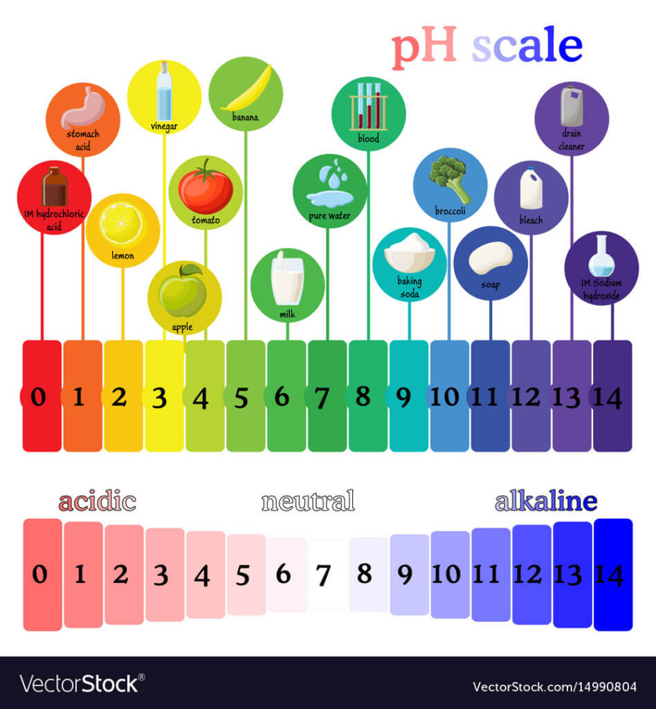 Stomach and pH Levels - A Gutsy Girl®