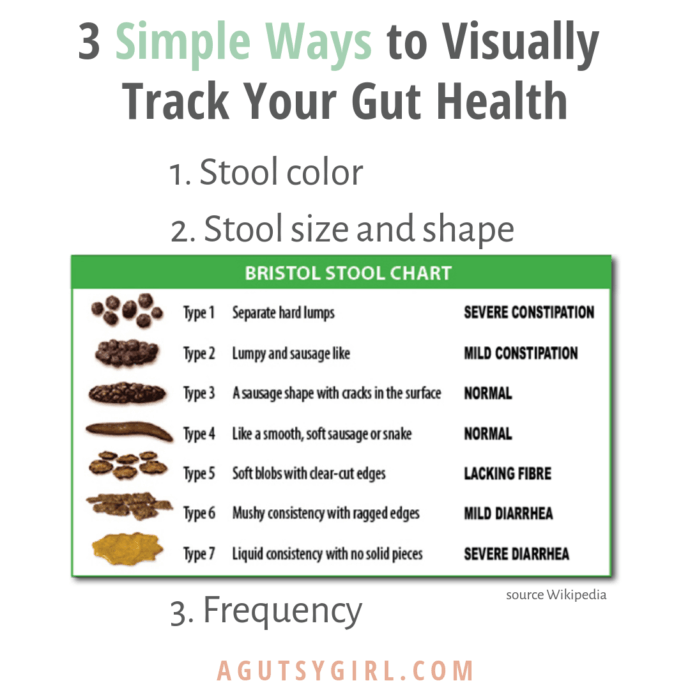 3 Simple Ways to Visually Track Your Gut Health - A Gutsy Girl®