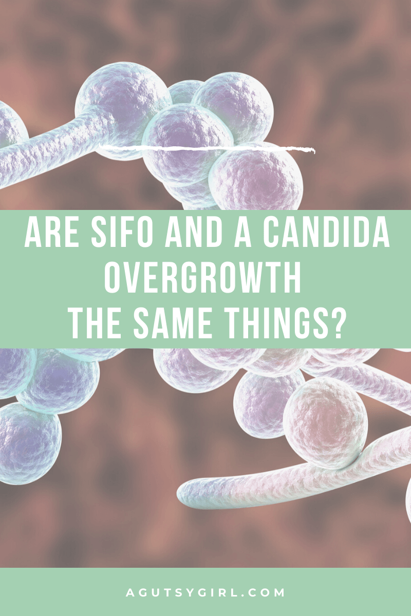 Are SIFO and a Candida overgrowth the same things agutsygirl.com #guthealth #sifo #candidaovergrowth