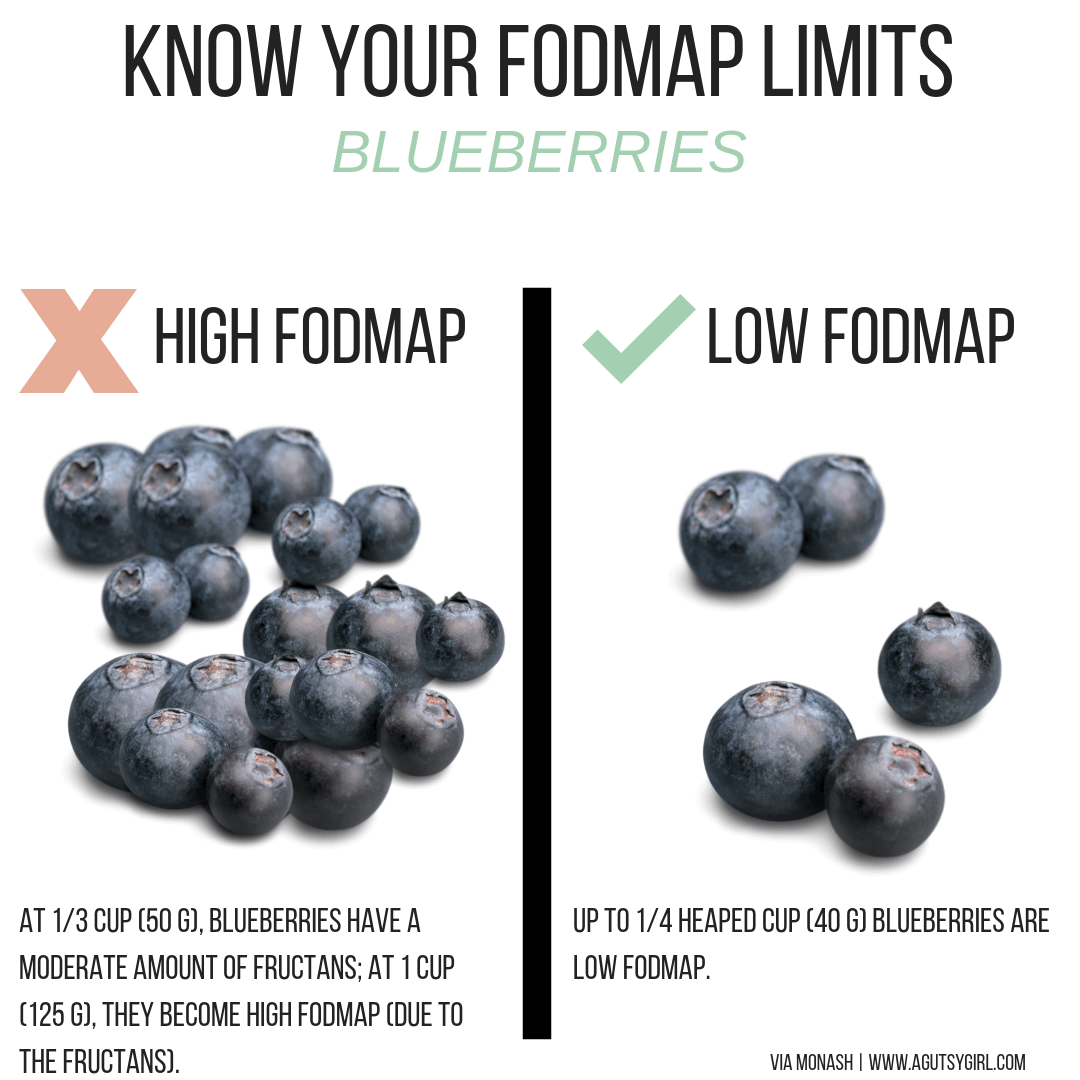 Blueberries blueberry Reasonable SIBO E-Book agutsygirl.com low fodmap sibo #sibo #lowfodmap #fodmap #guthealth
