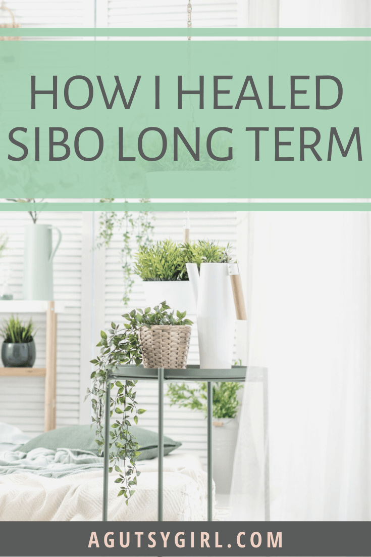How I Healed SIBO Long Term agutsygirl.com #guthealth #guthealing #sibo #IBS