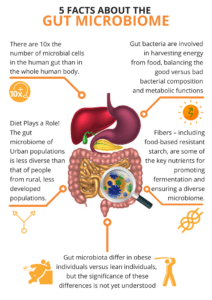 Human Microbiome agutsygirl.com What is the Gut Microbiome #microbiome #guthealth #human development
