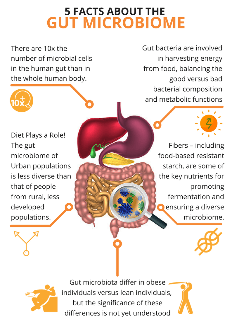 Human Microbiome agutsygirl.com What is the Gut Microbiome #microbiome #guthealth #human development