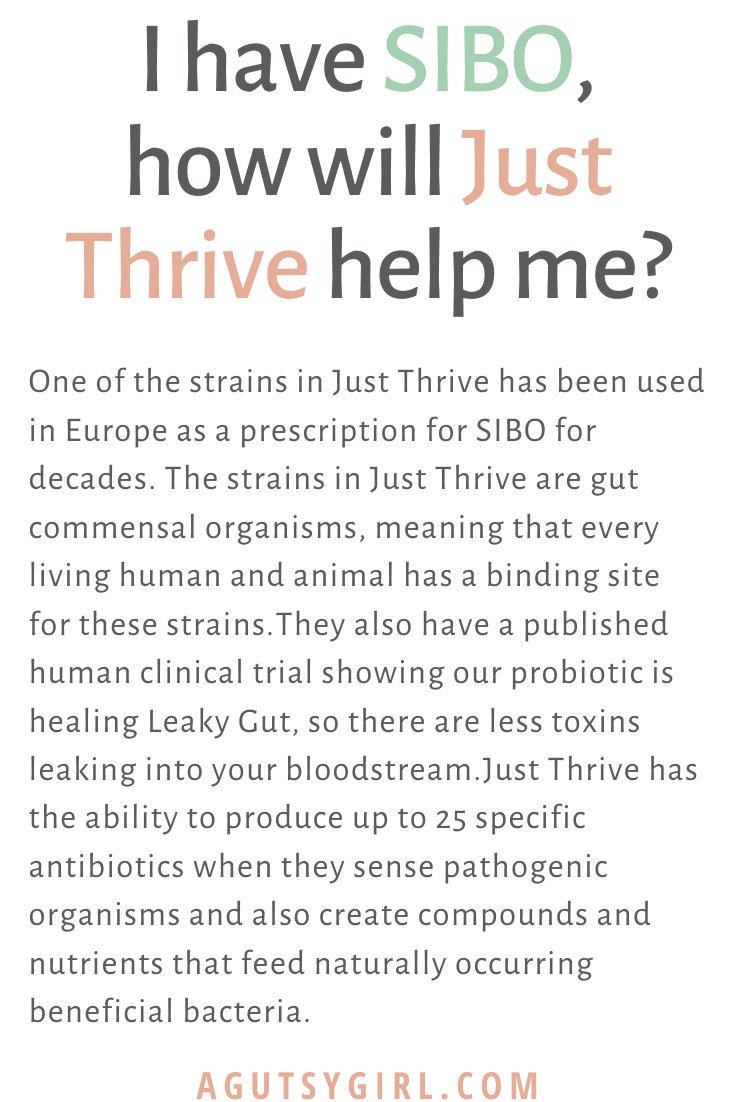 SIBO All About Just Thrive Probiotic agutsygirl.com #SIBO #probiotics #guthealth