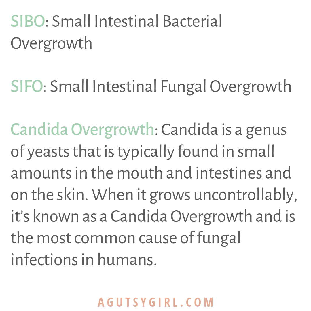 SIBO SIFO Candida Overgrowth definitions agutsygirl.com A Gutsy Girl gut healing #guthealing #SIBO #SIFO #candida #guthealing