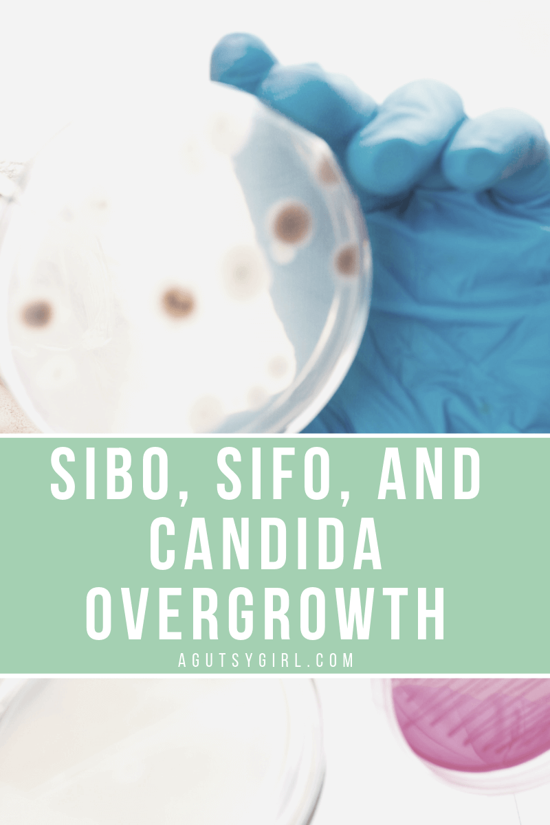 SIBO, SIFO, and Candida Overgrowth agutsygirl.com A Gutsy Girl gut healing #guthealing #SIBO #SIFO #candida