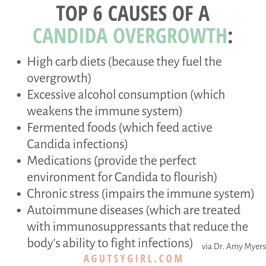 Top 6 Causes of a Candida Overgrowth agutsygirl.com #candida #candidadiet #guthealth #guthealing
