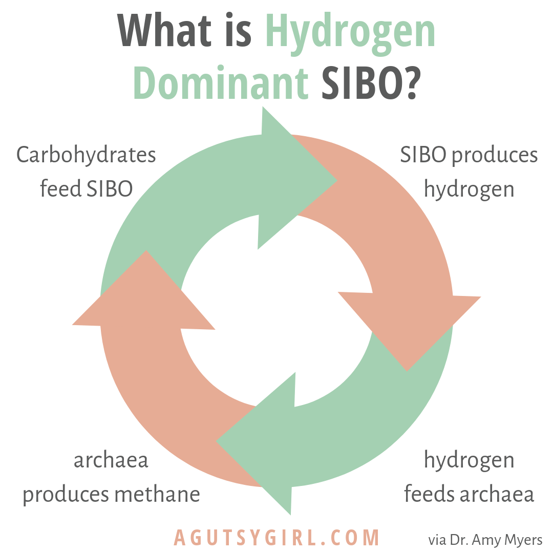 What is Hydrogen Dominant SIBO - A Gutsy Girl®