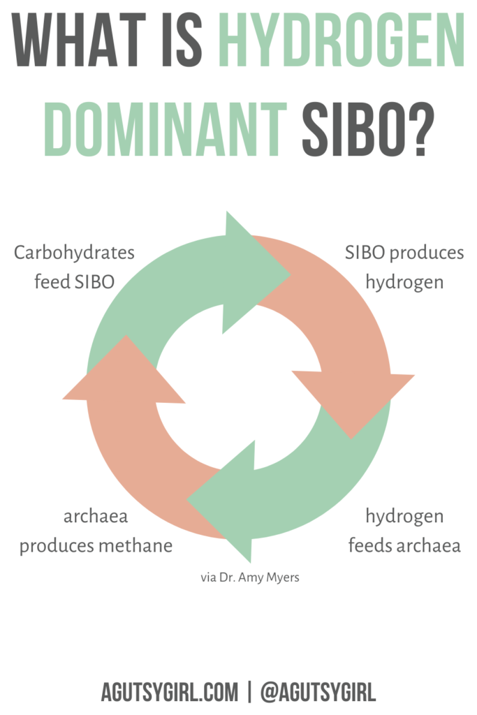 What is Hydrogen Dominant SIBO - A Gutsy Girl®