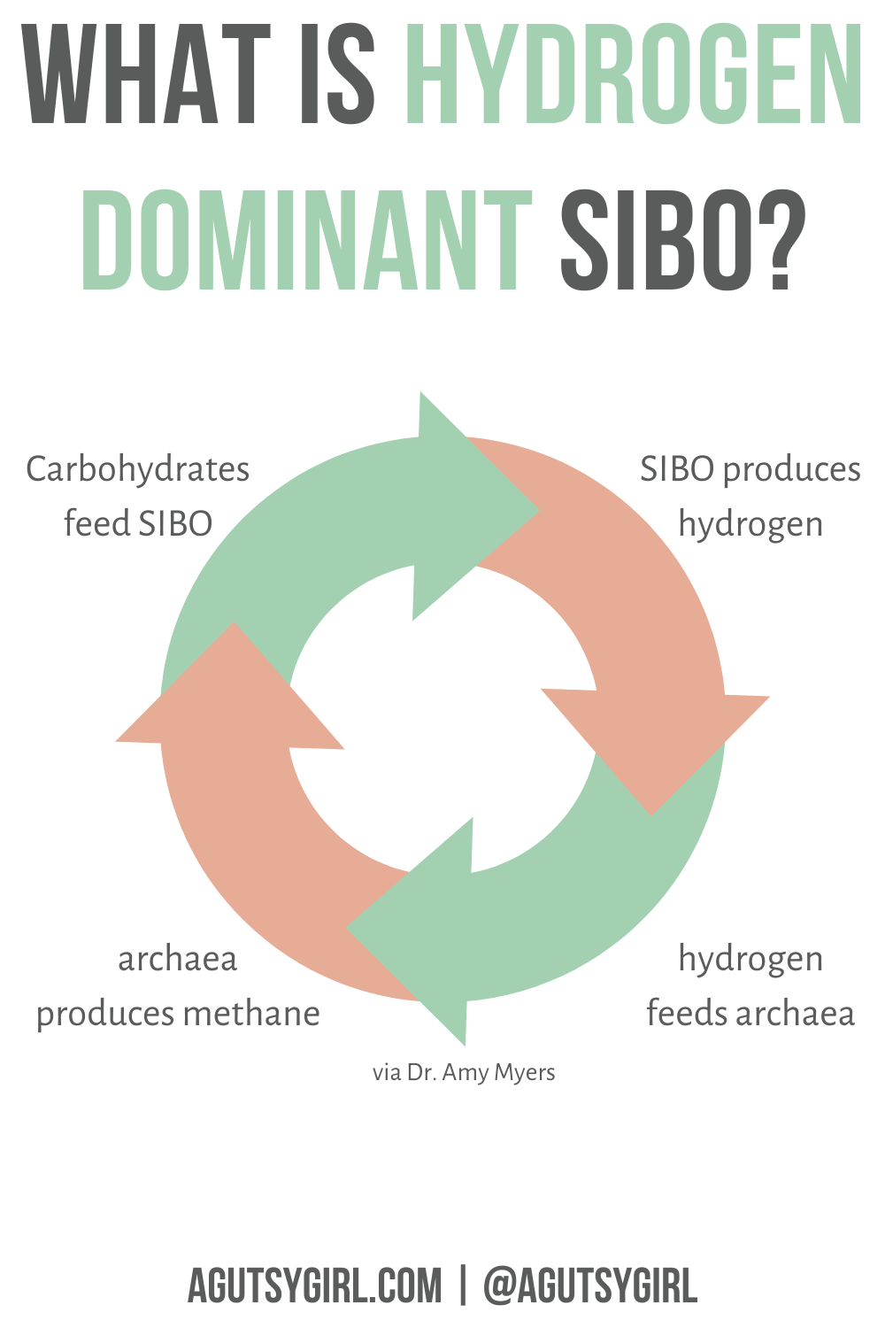 What is Hydrogen Dominant SIBO agutsygirl.com #SIBO #fodmap #hydrogen