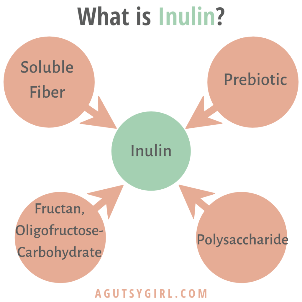 What is Inulin agutsygirl.com A Gutsy Girl #inulin #prebiotic #fiber #guthealth