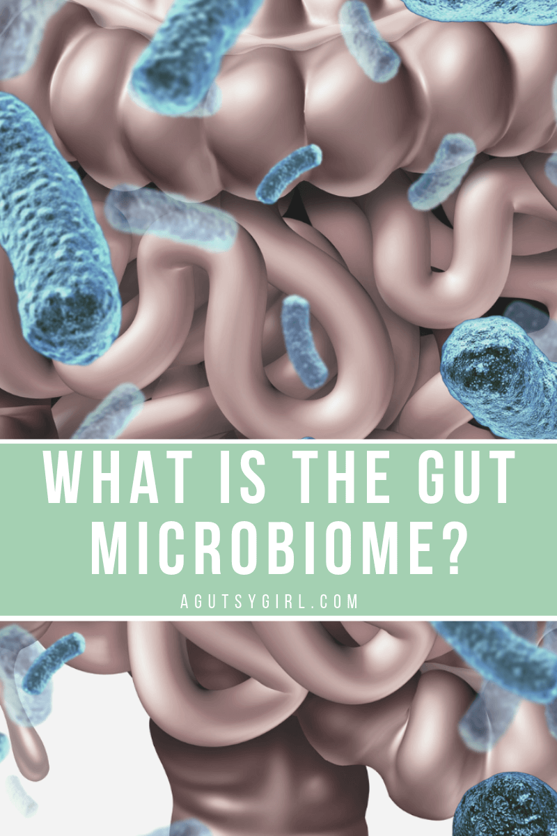 What is the Gut Microbiome #microbiome #guthealth #human agutsygirl.com