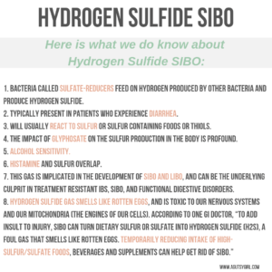 Hydrogen Sulfide SIBO agutsygirl.com A Gutsy Girl SIBO #guthealth #ibs #sibo #eggs