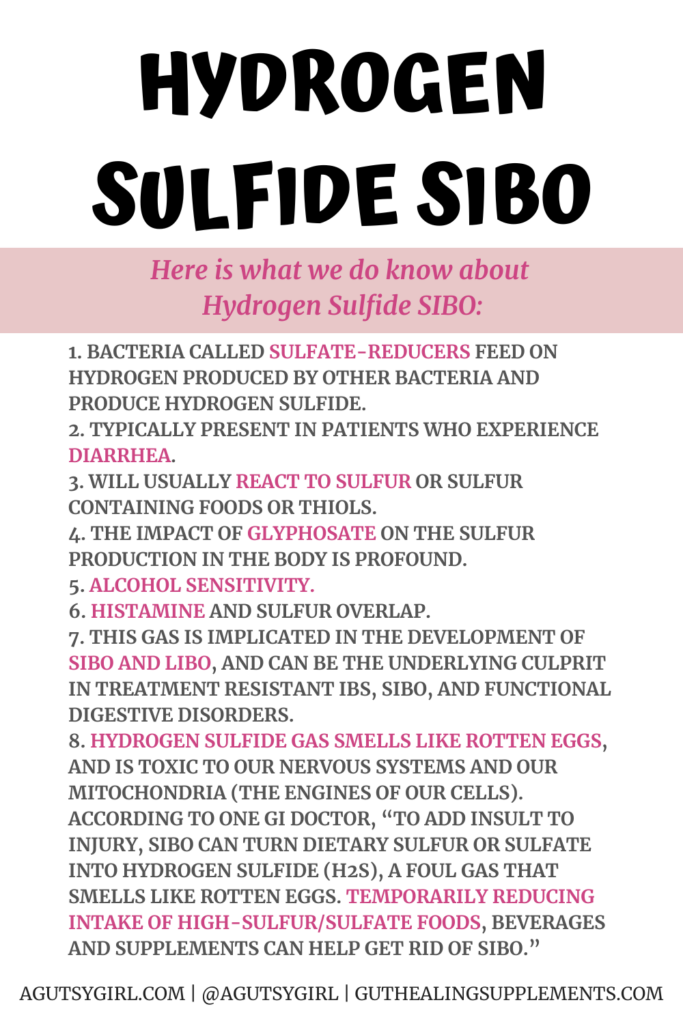 Hydrogen Sulfide SIBO agutsygirl.com