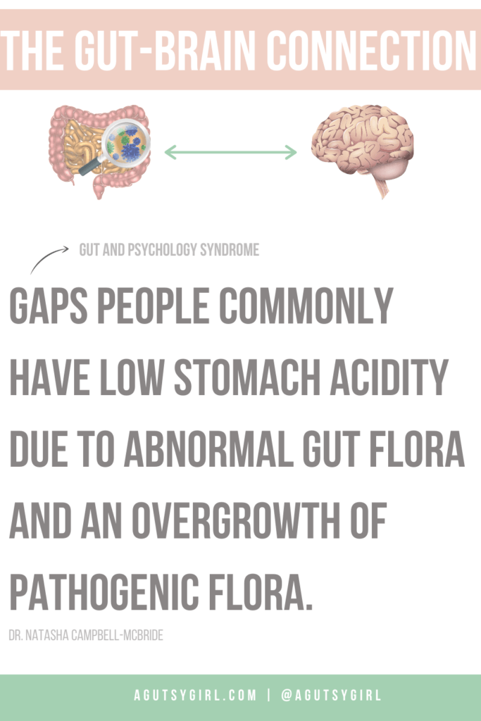 The Gut-Brain Connection GAPS stomach acid agutsygirl.com #guthealth #gaps #stomachacid #gutbrain