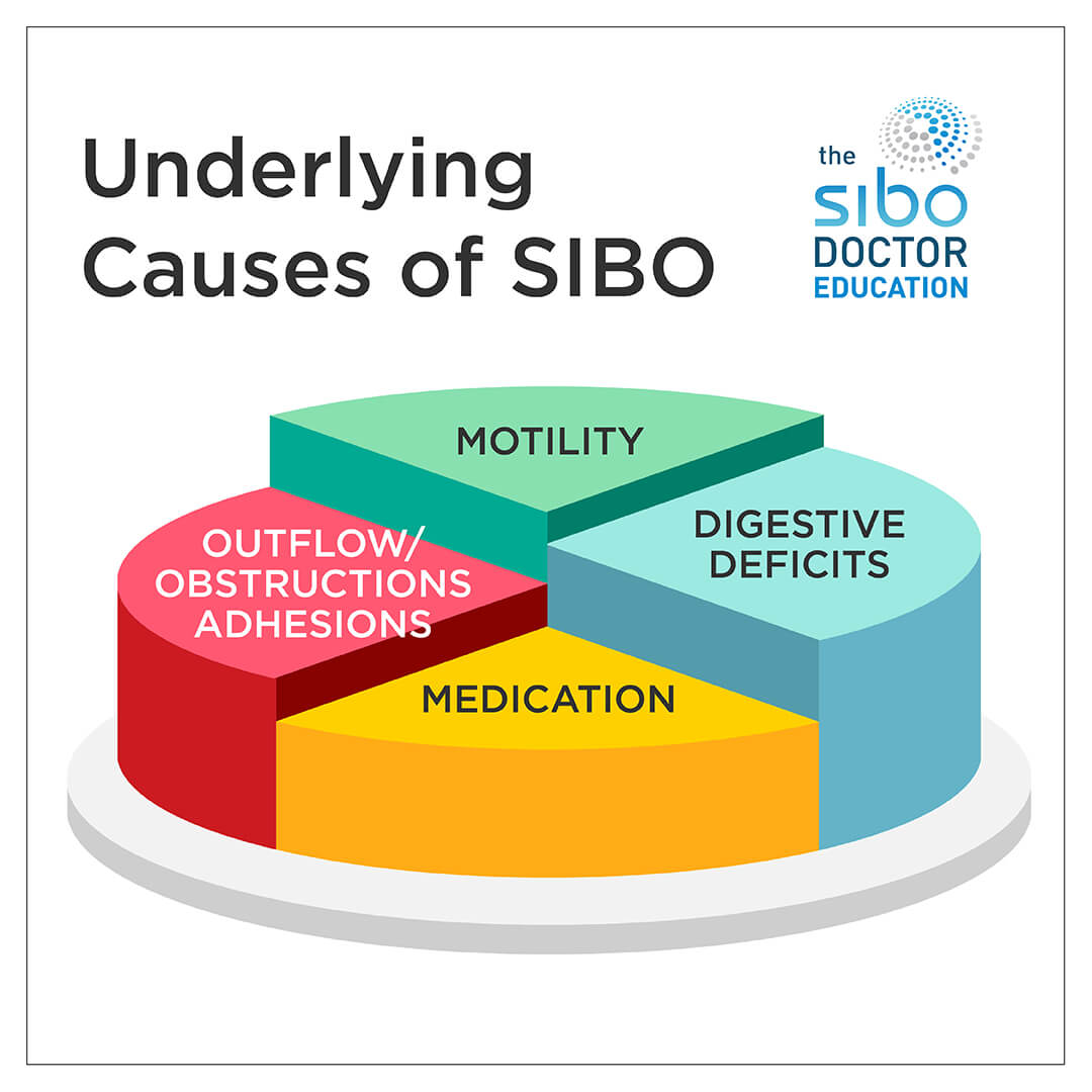 What Caused Your SIBO with Dr. Nirala Jacobi via A Gutsy Girl agutsygirl.com #SIBO #guthealth #ibs underlying causes