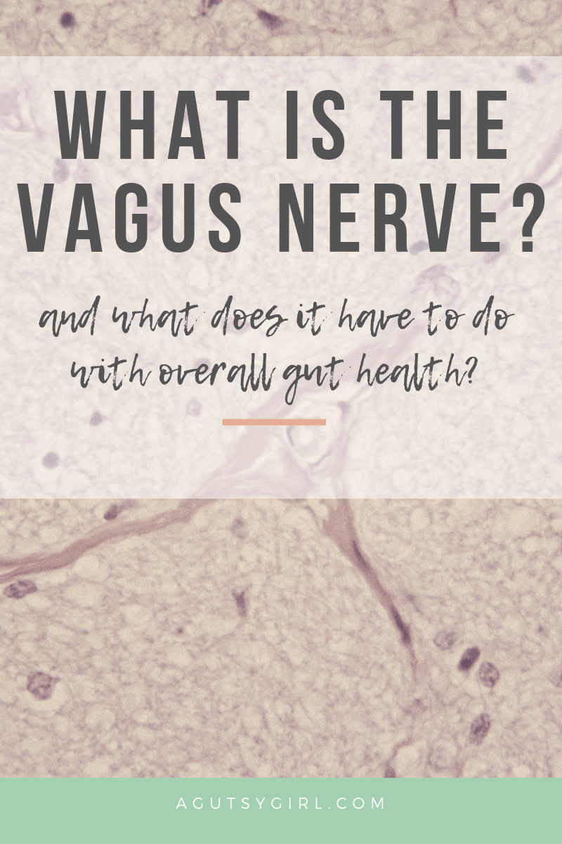 What is the Vagus Nerve agutsygirl.com #vagusnerve #gutbrainaxis #guthealth #healthyliving