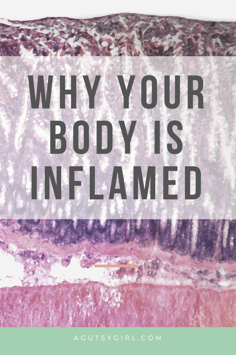 Why Your Body is Inflamed agutsygirl.com inflammation gut health healing #guthealth #inflammation #healthylifestyle