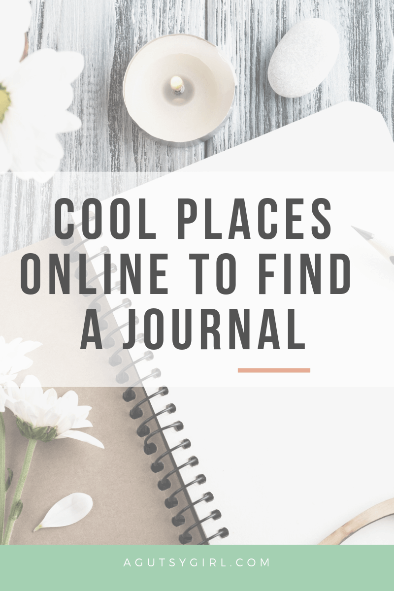 cool online journals