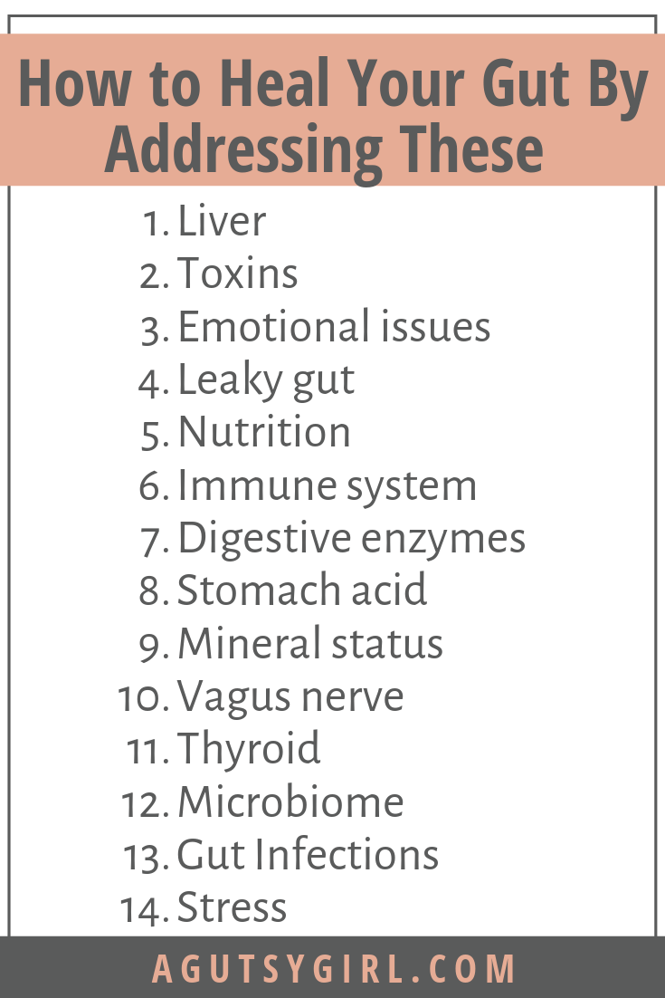 14 Things to Heal for How to Heal Your Gut By Addressing These agutsygirl.com #guthealth #healthyliving #toxins #stress