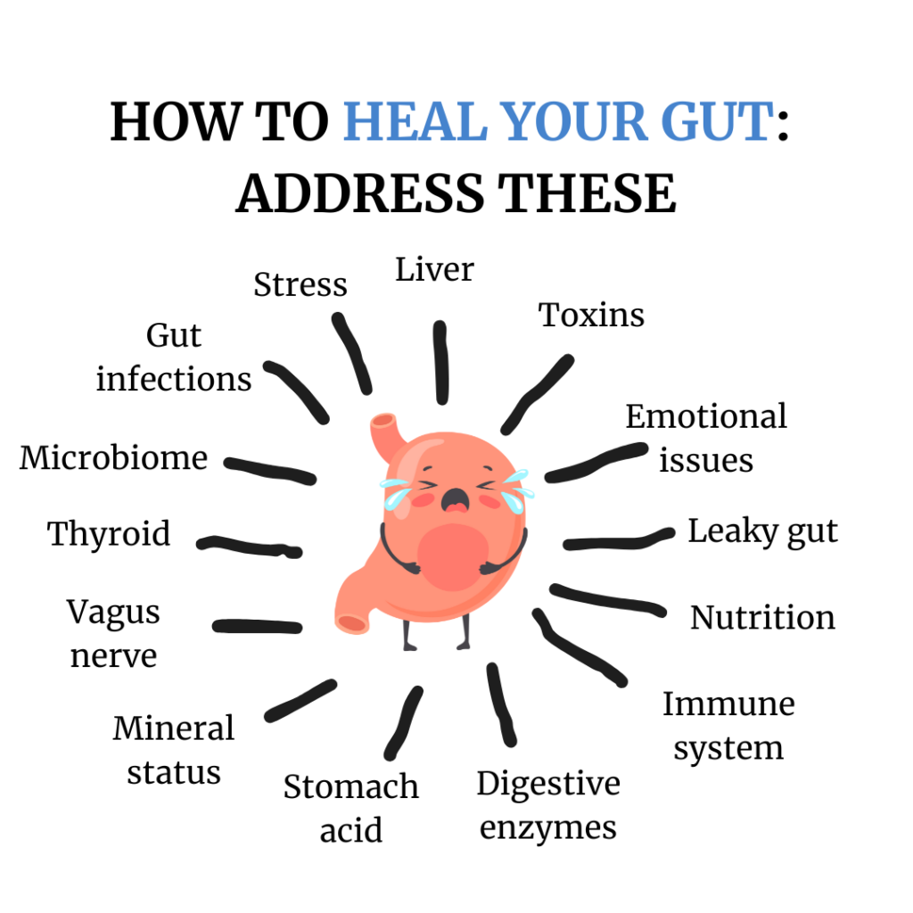 How to heal your gut by addressing these 14 things A Gutsy Girl agutsygirl.com