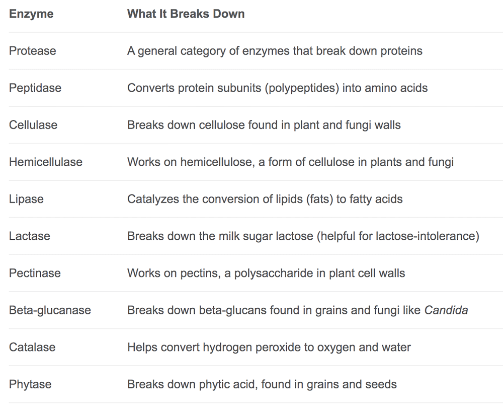 Digestive Enzymes Chart