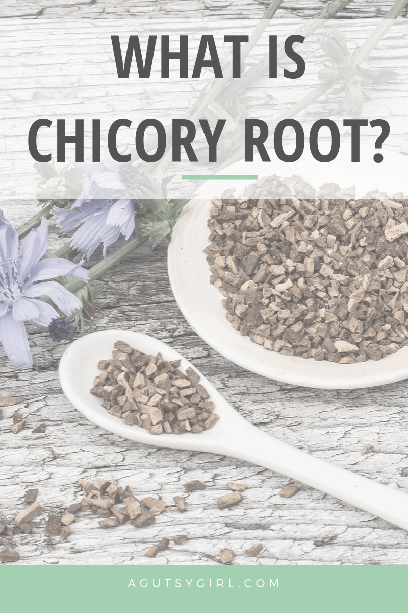 What is Chicory Root agutsygirl.com #inulin #fiber #guthealth #digest