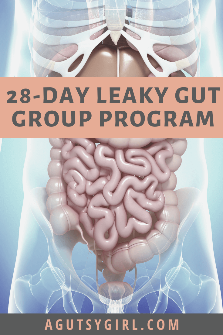 28-Day Leaky Gut Group Program gut healing agutsygirl.com #guthealth #leakygut #leakygutdiet