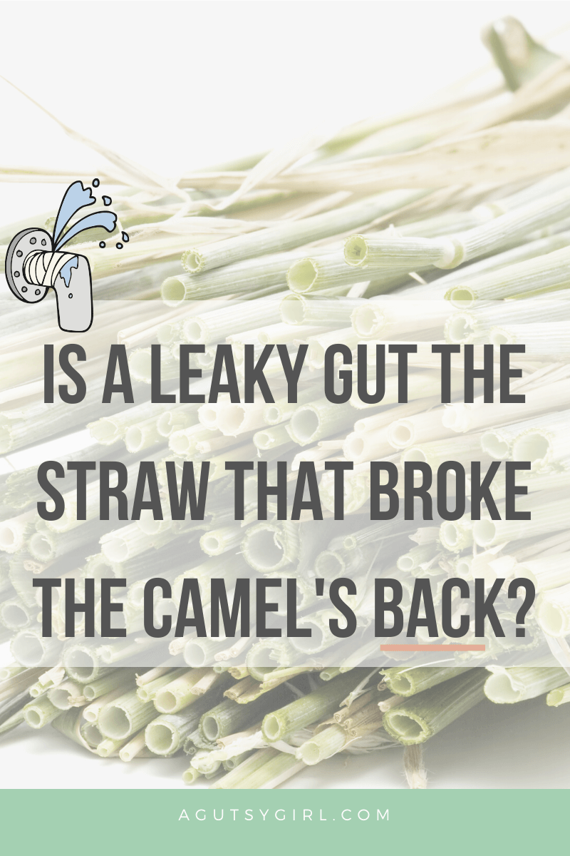 Straw that Broke the Camel's Back Leaky Gut agutsygirl.com #leakygut #guthealth #agutsygirl