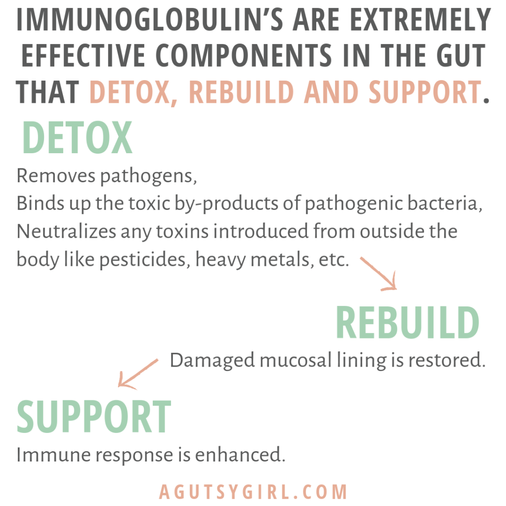 Ultimate IgG Immune and Digestive Support agutsygirl.com #igg #guthealth #supplements