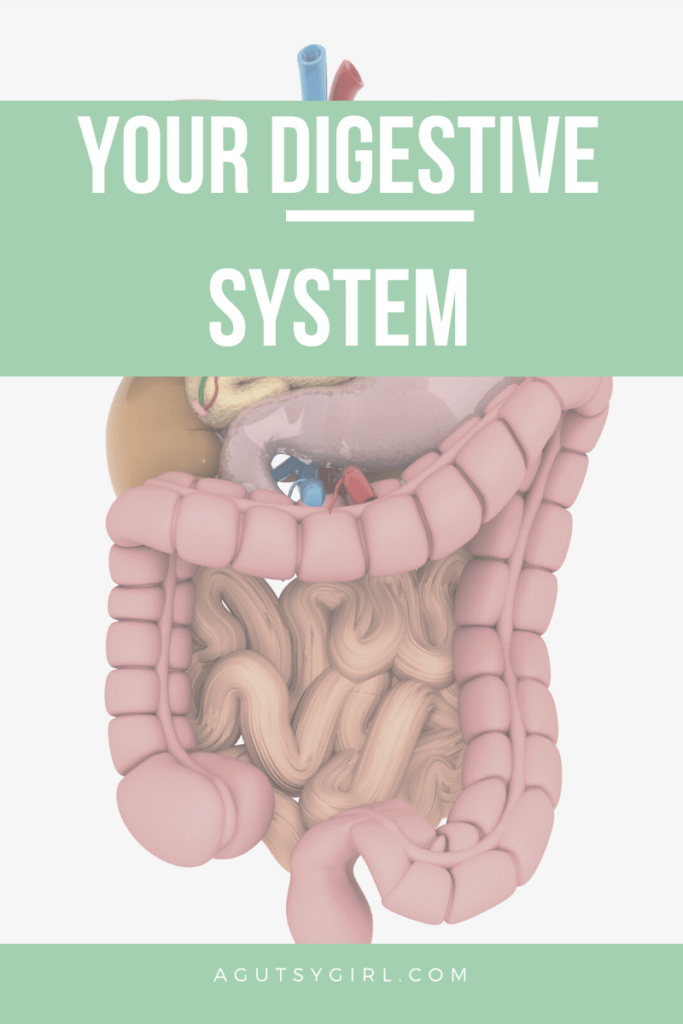 Your Digestive System A Gutsy Girl®