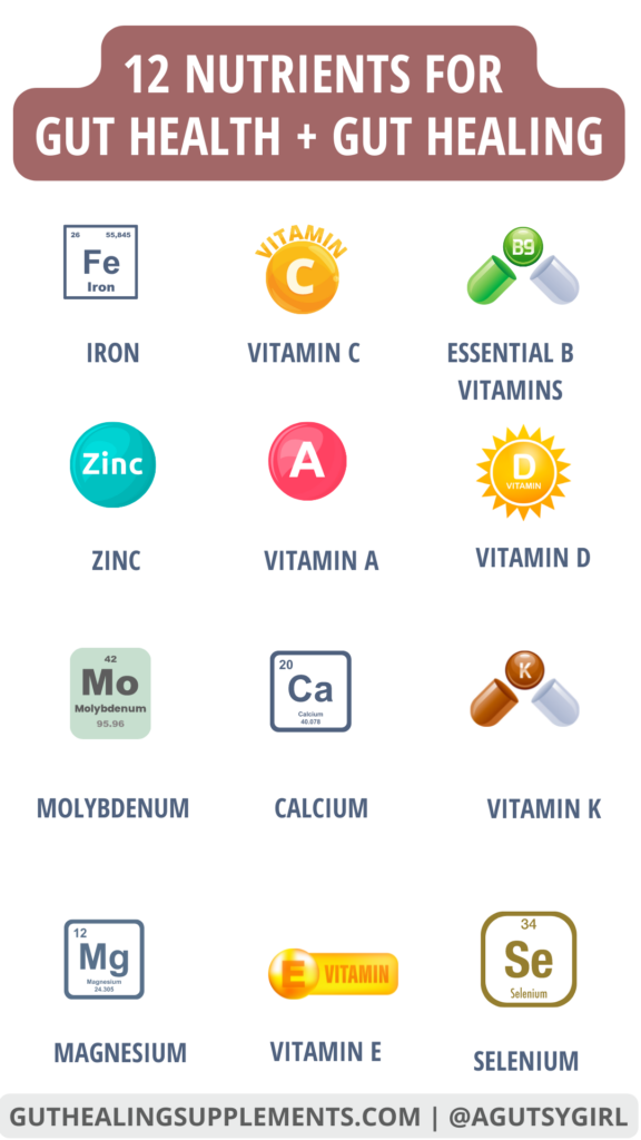 12 Nutrients for Gut Health + Gut Healing Supplement line Nourish Plus multivitamin agutsygirl.com #multivitamin