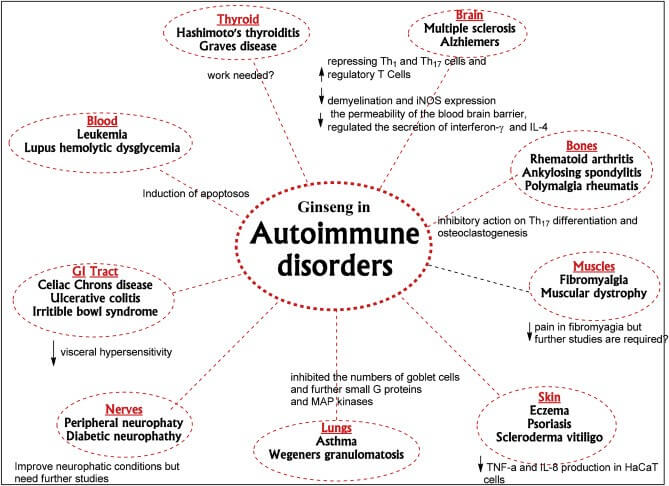 Ginseng and Gut Health agutsygirl.com #ginseng #guthealth #immunesystem #autoimmune