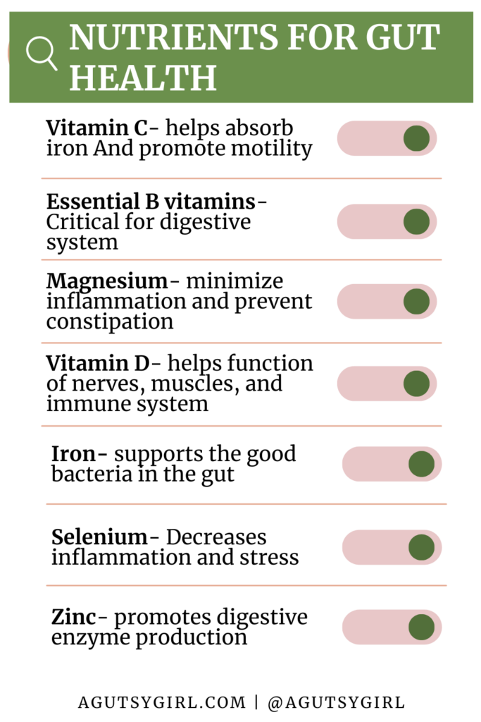 Gut healing nutrients Best Plant Based Multivitamin (7 to consider for your gut health) agutsygirl.com