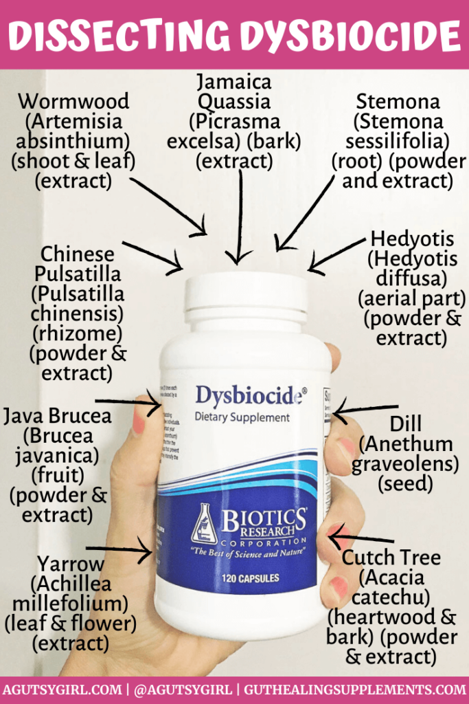 Dissecting Dysbiocide SIBO agutsygirl.com