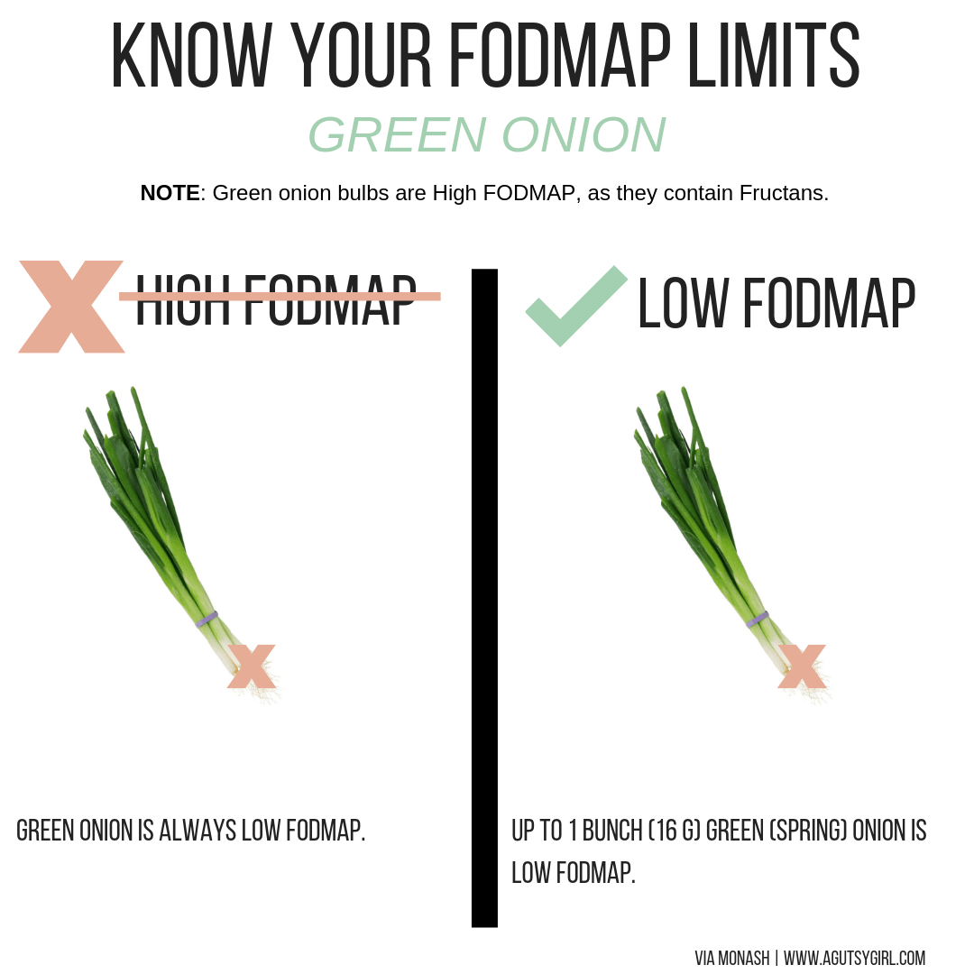 Green Onion Mediterranean Diet for Gut Health SIBO agutsygirl.com #guthealth #mediterraneandiet #diet #SIBO
