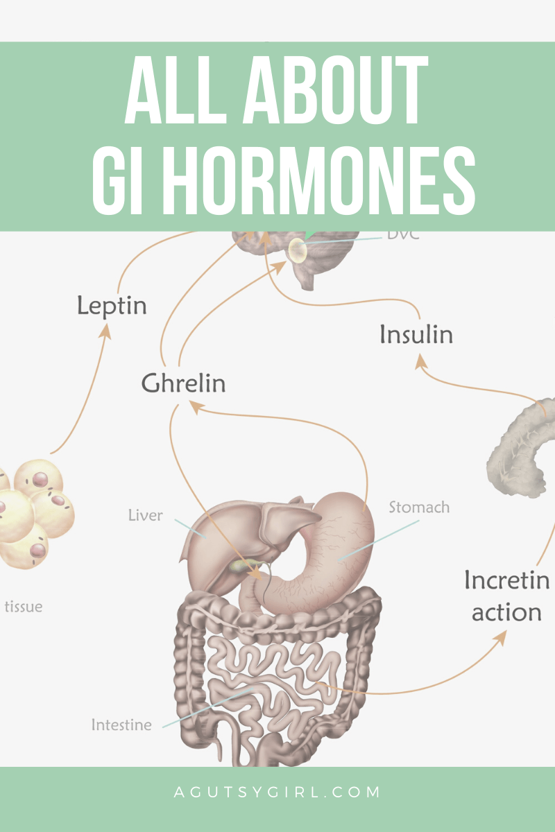 All About GI Hormones agutsygirl.com #gihormones #digestion #hormones #guthealth
