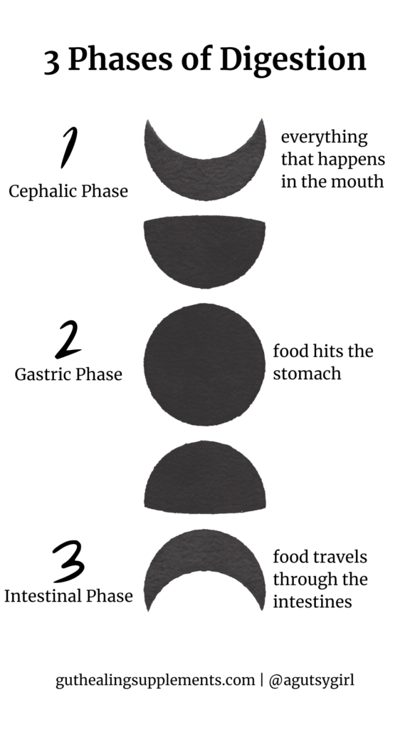 GI Tract 3 phases of digestion agutsygirl.com