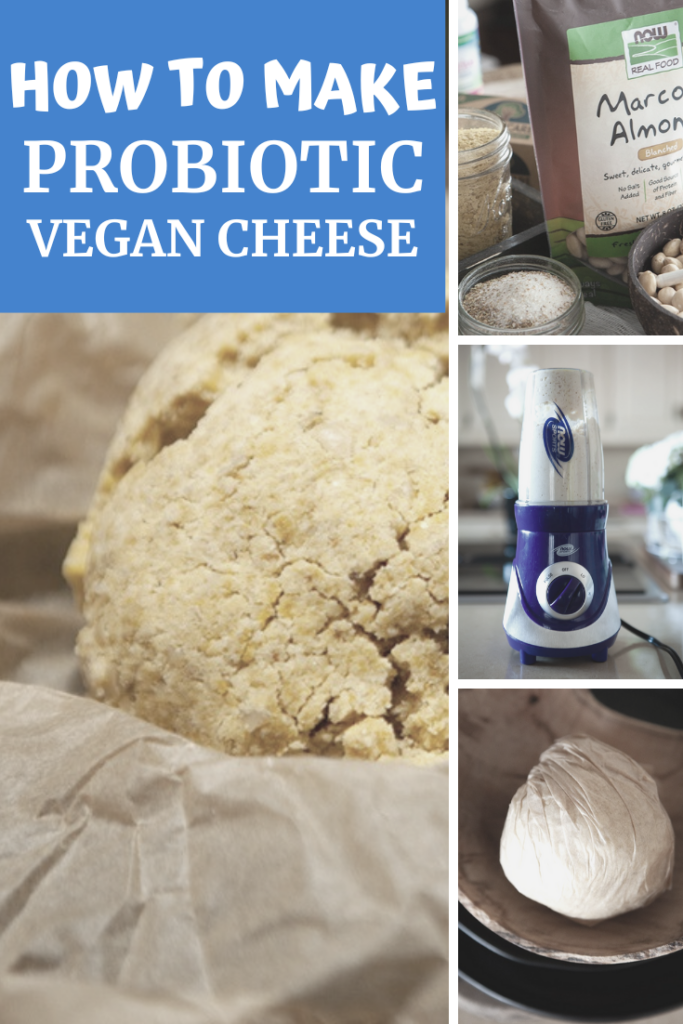 How to make probiotic vegan cheese agutsygirl.com