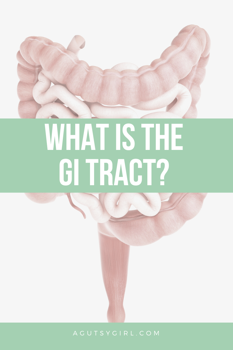 What is the GI Tract agutsygirl.com #gitract #digestivesystem #guthealth
