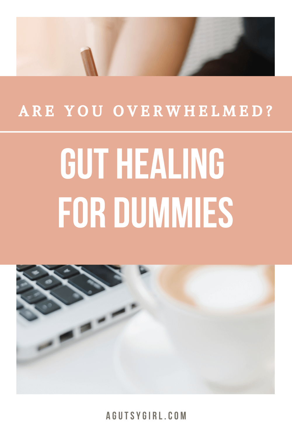 Gut Healing for Dummies agutsygirl.com #guthealing #dummies #gut #ibs