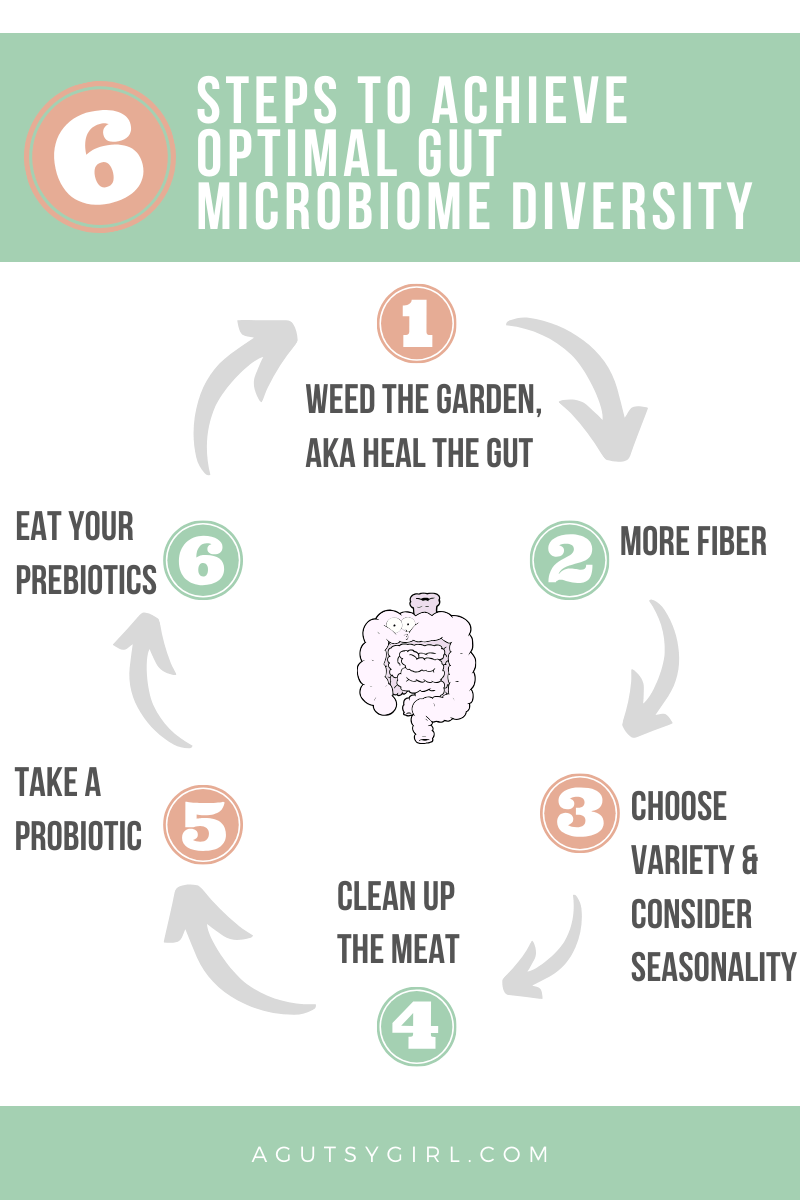 How to Achieve Optimal Microbiome Diversity agutsygirl.com Hadza people study #guthealth #microbiome fiber 6 steps gut health microbiota