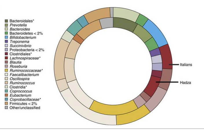 How to Achieve Optimal Microbiome Diversity agutsygirl.com Hadza people study #guthealth #microbiome