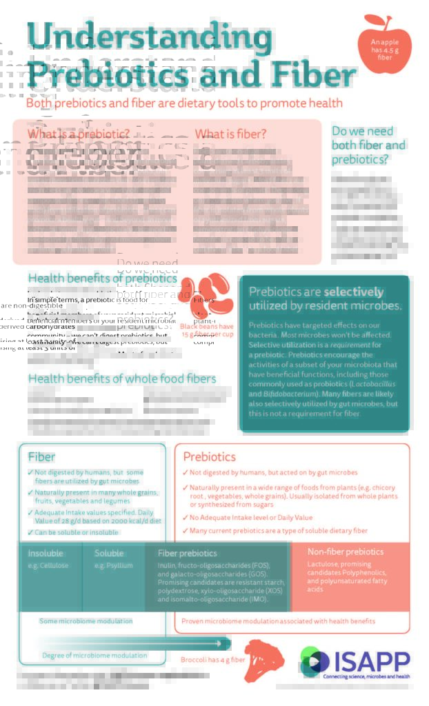 Prebiotic Fiber Infographic ISAPP isappscience.org